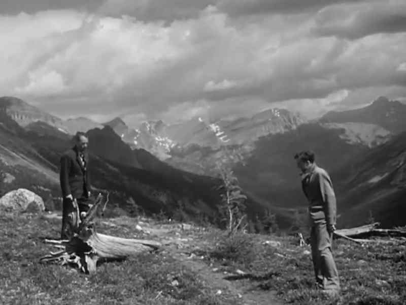 Herr Leutnant, there's a trail