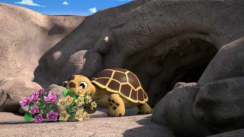 He's a tortoise, Patty. He's really nice