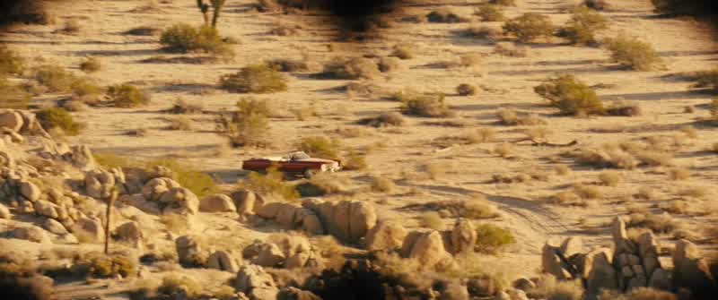 He's all alone