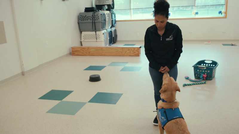 He's animated and loving, and he enjoys training