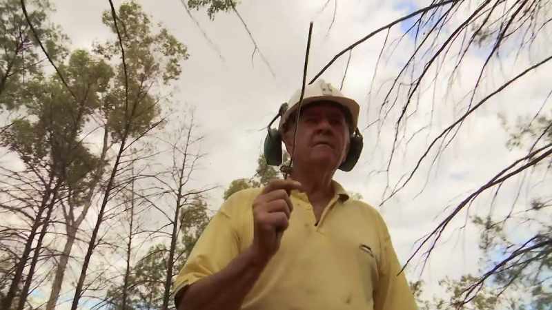 He's convinced that dowsing can indicate