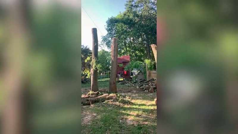 He's got maybe a 10‐foot space to drop this tree
