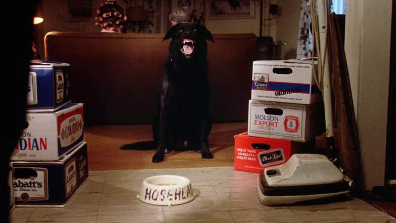 He's guarding the beer What are we gonna do