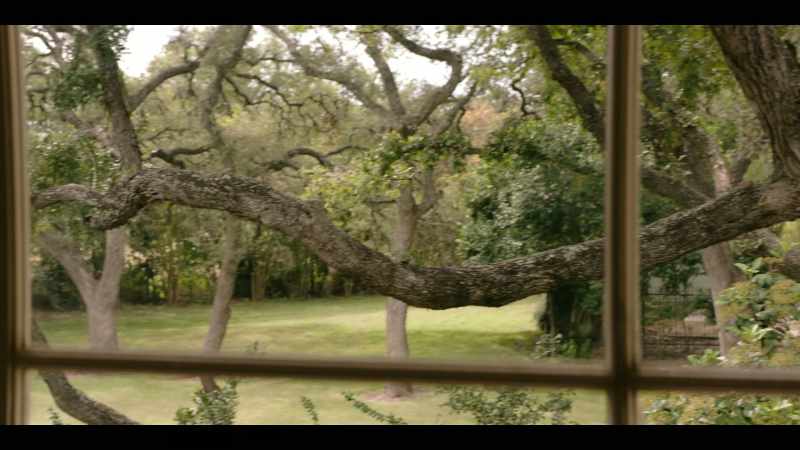 He's in those trees rain, sleet or broil