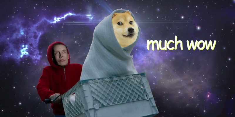 He's just like, because he can