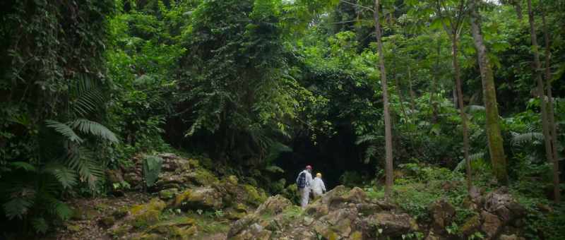 He's not afraid to pull us out and say, 