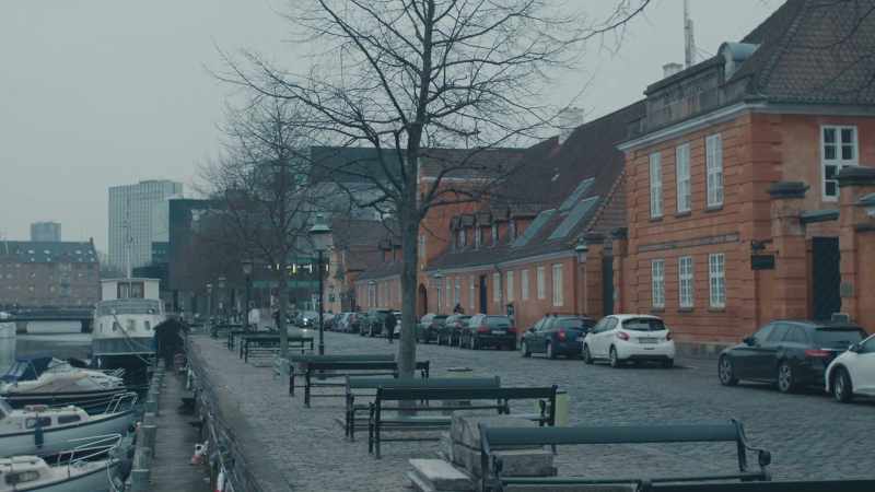 He's one of Denmark's leading experts on