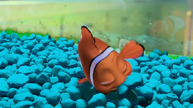 He's swimming to the filter!