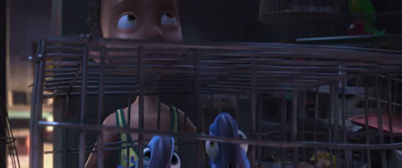 Hey, birdie!