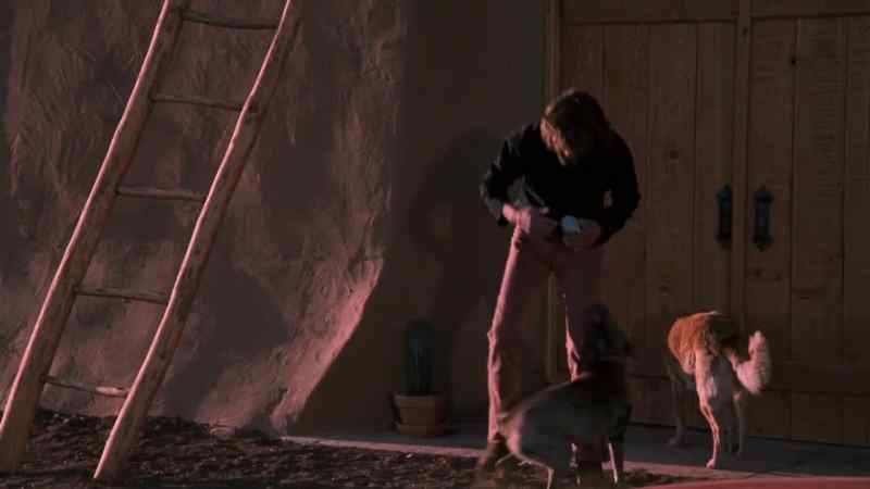 Hey, boy, good morning. Yeah, that's a good dog