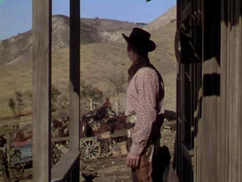 Hey! Bring those horses up here