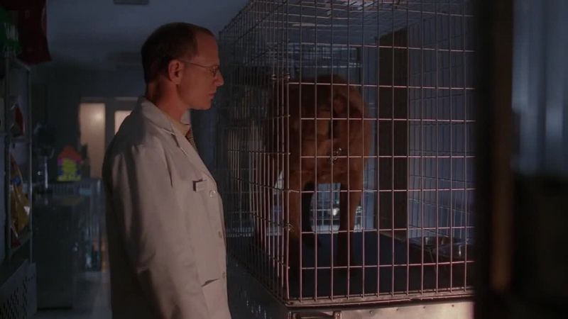 Hey, Buck. What's wrong, Buck?