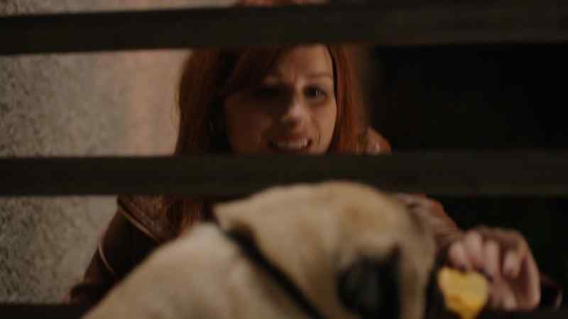 Hey, buddy. (barks)