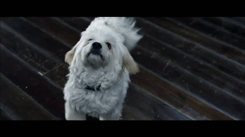Hey, Bugsy- Hey
