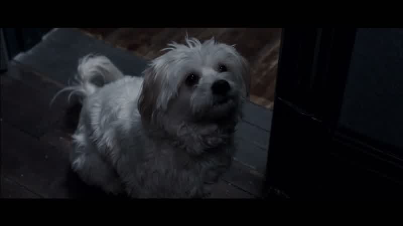 Hey, Bugsy