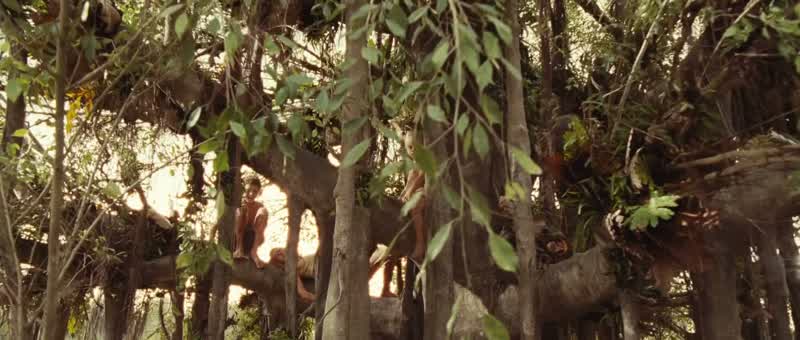 Hey! Climb down, Lucas. - Lucas