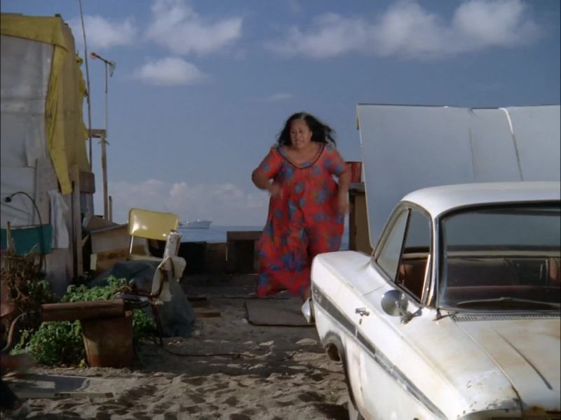 HEY, COME BACK HERE, YOU MENEHUNE!