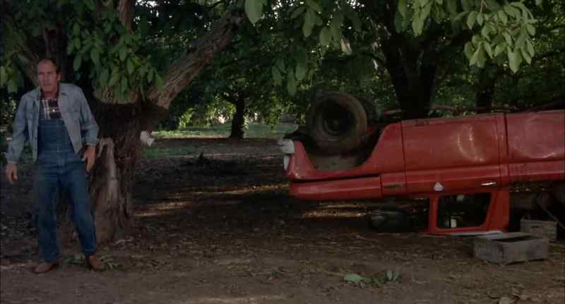 Hey. Did a Dodge Charger do that?