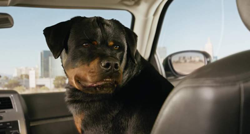 Hey you do remember I bite right