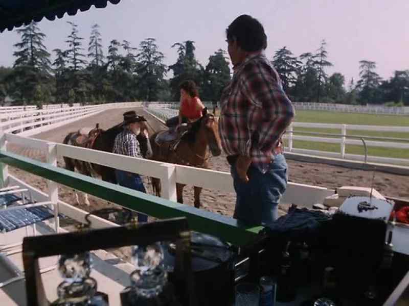 HEY, GAINES, WHY DON'T YOU TAKE THOSE HORSES