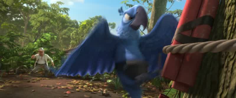 Hey! Get away from that! No! No one steals my scene