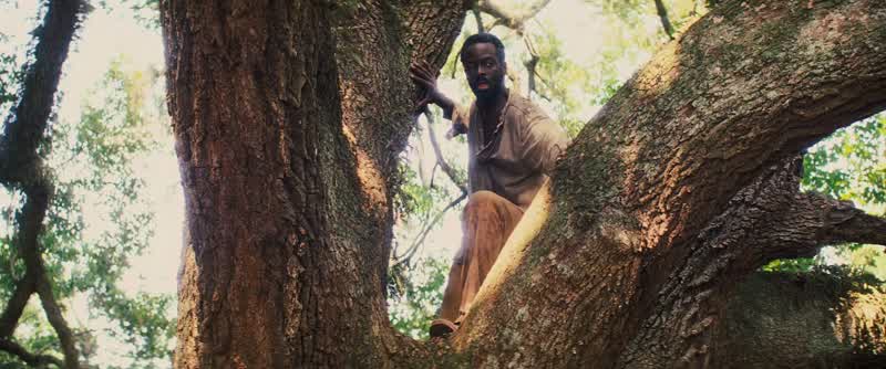 Hey! Get these goddamn dogs away from this nigger!