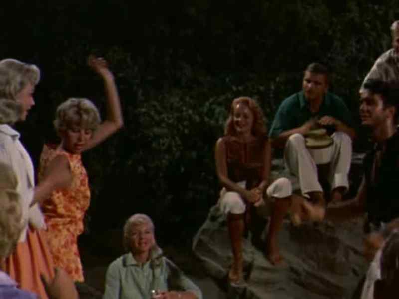Hey, Gidget, where's that steak?