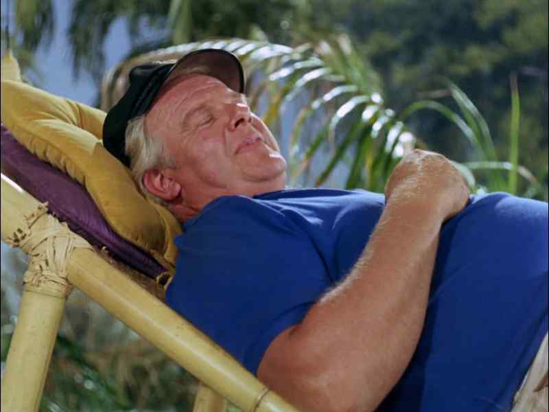 HEY, GILLIGAN, WOULD YOU MIND PUTTING ME DOWN?