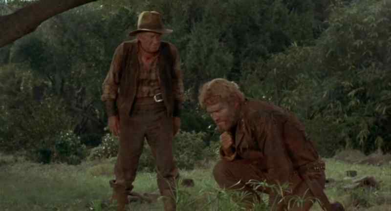 Hey, you gone loco, big hoss?