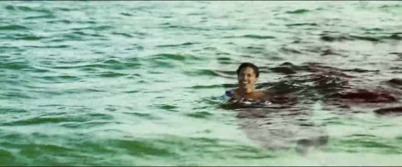 Hey, you guys see that? I killed the shark!