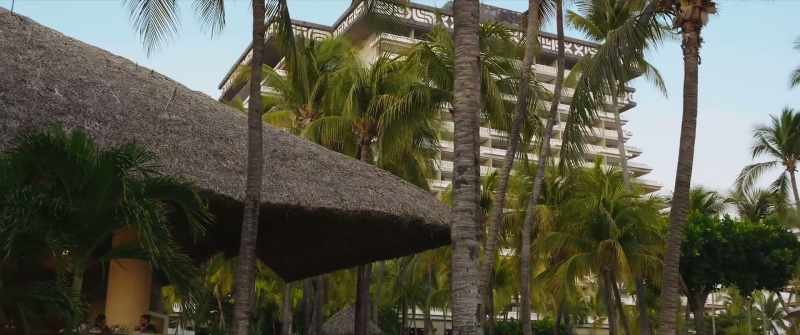 Hey, guys. Welcome to 2019's Anarchapulco