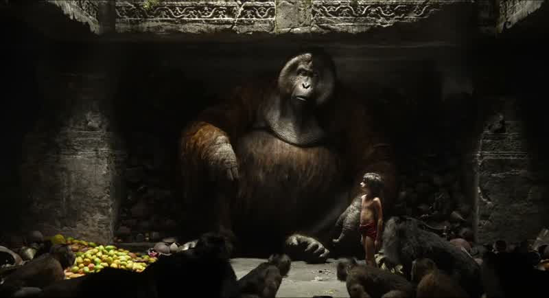 Hey hang onCan you just hang onI climbed a mountain to see you and I'm not a climberJust to be in your presenceFor me this is a dream come true OhThrow him off the cliff