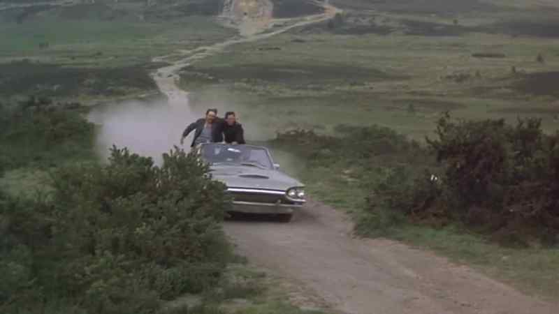 Hey. have fun. - Come on. cowboy. Let's ride him