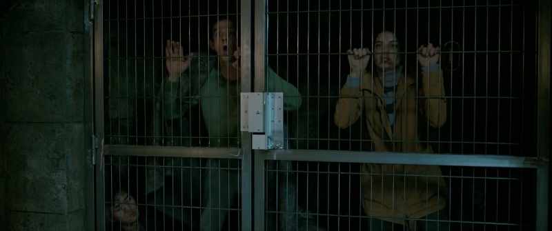 Hey, hey, hey, open the door! - Open the door, please