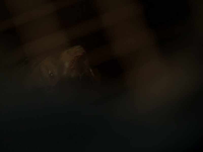 Hey, hey kid, there's something down here with me