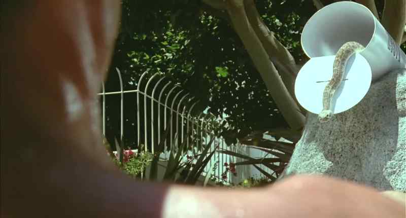 Hey! Hey! -(LEAF BLOWER BUZZING)