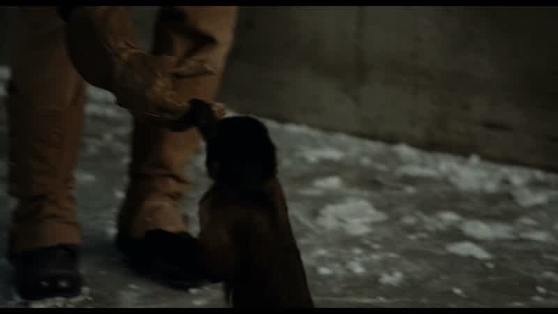 Hey Dex So look no hard feelings all rightLawrenceYou saw You saw what he did just thenWho's evolved I am