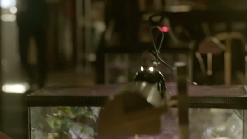 Hey, Hope