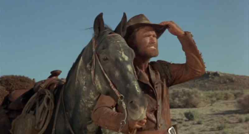 Hey, horse, look