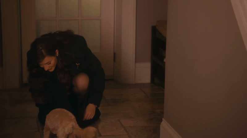 Hey, I didn't know she got a new dog