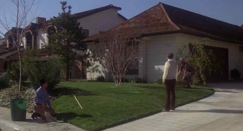 Hey, Igo, could you do something about that tree?
