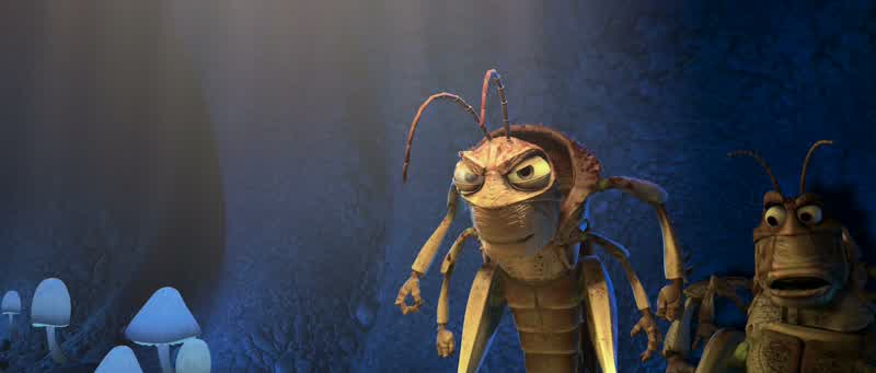 Hey, I'm a compassionate insect