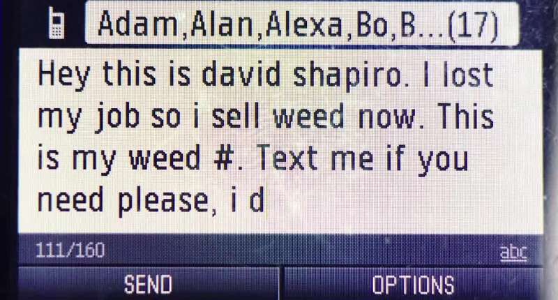 Hey this is David Shapiro