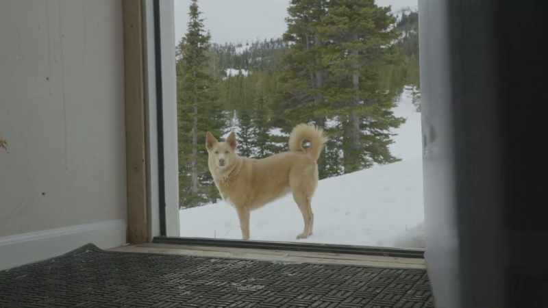 Hey! - It's Bodi. He is in there