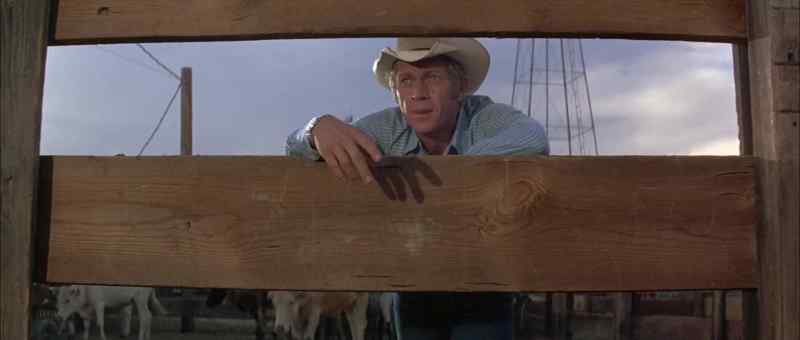 Hey, Junior, you got to watch that old bull
