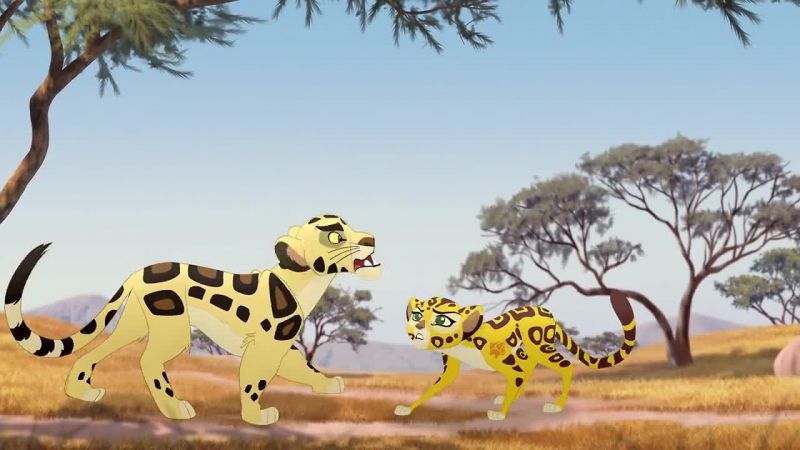 Hey, leopard!