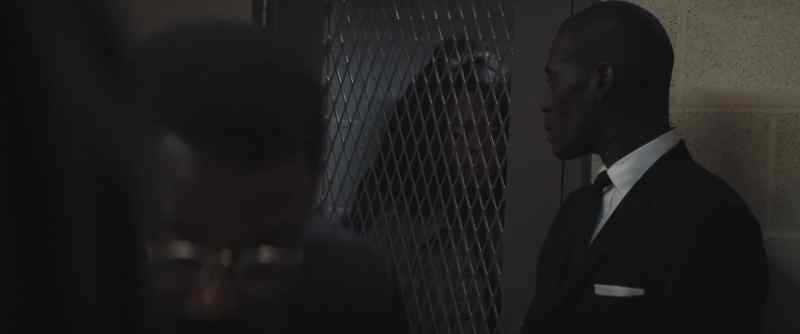 Hey, look. Let her in