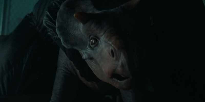 Hey. - [Lowing]