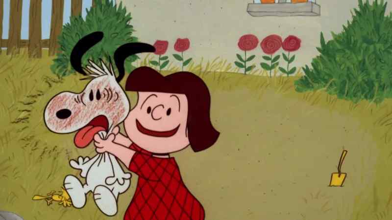 Hey, Ma, I've found a stray dog. SNOOPY: Aah!