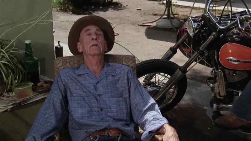 Hey, man. How come that cat ain't moving?